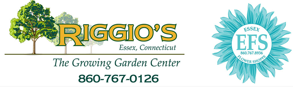 Riggio`s | The Growing Garden Center
